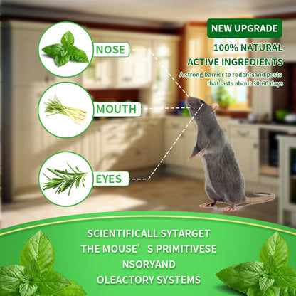LAST DAY 50% OFF ✨Lovyanocosh® 12- Pack Popular Natural Rodent Repellent Balls, Natural Pest Repellent🎁