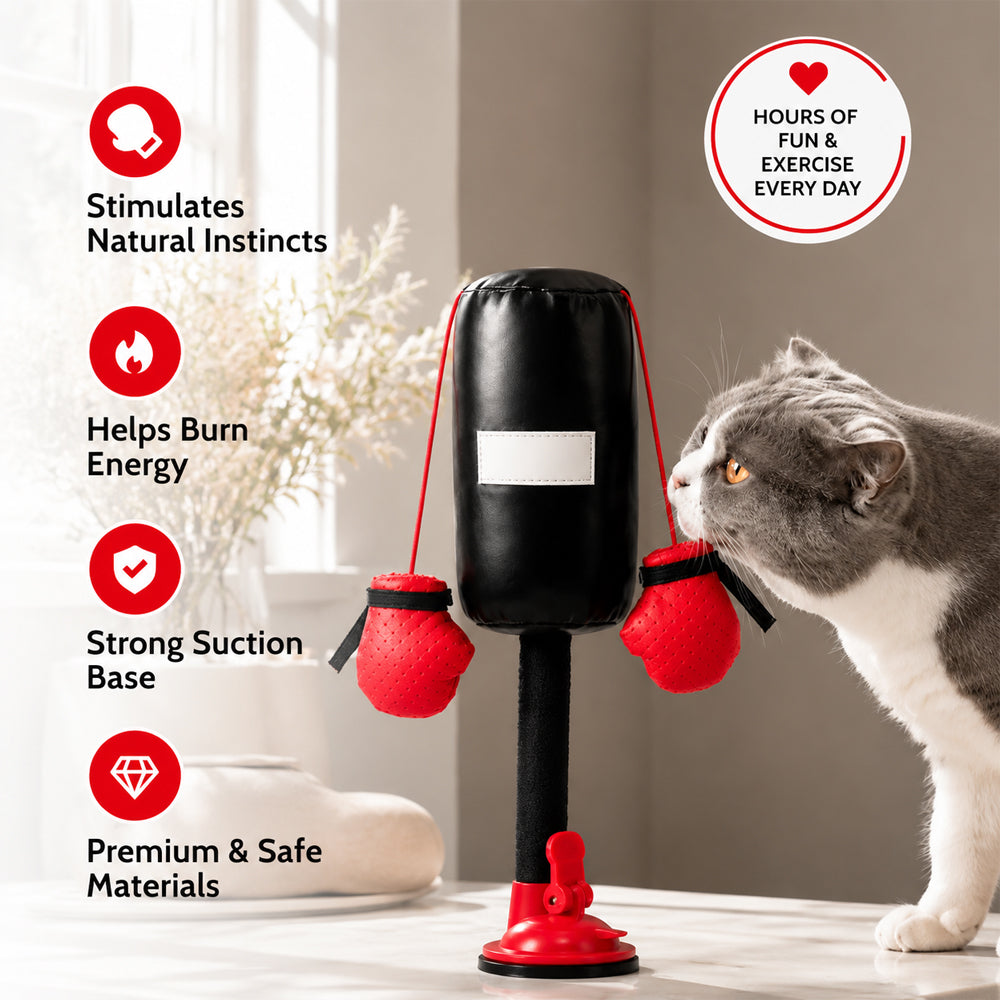 🔥Save 50% by ordering today✨Lovyanocosh® Punch & Play Interactive Cat Toy