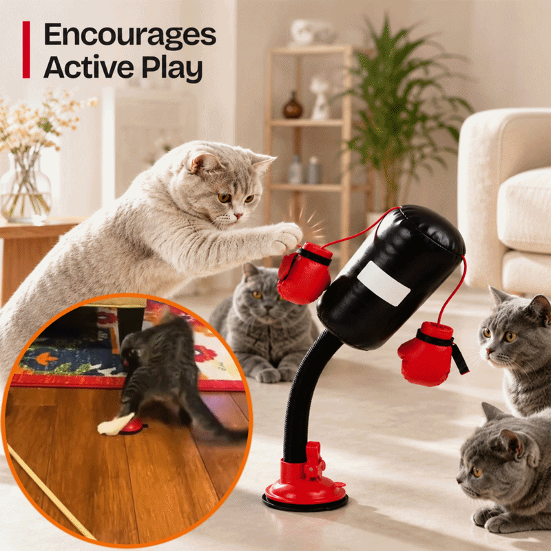🔥Save 50% by ordering today✨Lovyanocosh® Punch & Play Interactive Cat Toy