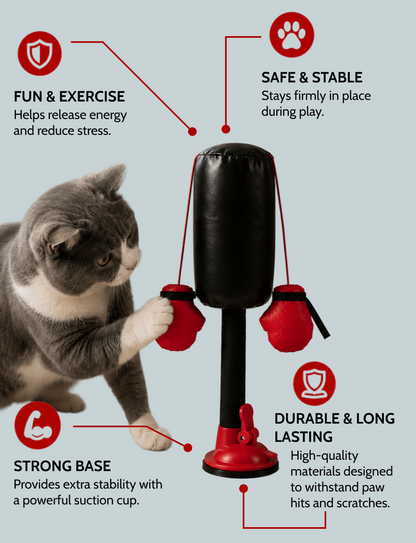 Pawsome™ Punch & Play Interactive Cat Toy