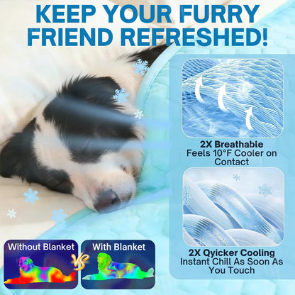 🔥Hot Sale🧊 Lovyanocosh® Premium Cooling Mat For Pet 🐶