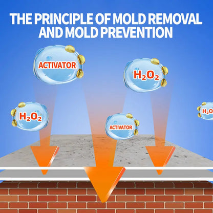 Lovyanocosh® Highly Effective Mould Removal Spray ✨ up