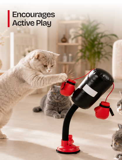 Pawsome™ Punch & Play Interactive Cat Toy