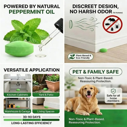 LAST DAY 50% OFF ✨Lovyanocosh® 12- Pack Popular Natural Rodent Repellent Balls, Natural Pest Repellent🎁